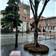Apri Galleria Immagini
